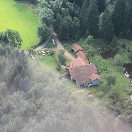 Gites De La Racine Girmont-Val-dʼAjol Buitenkant foto