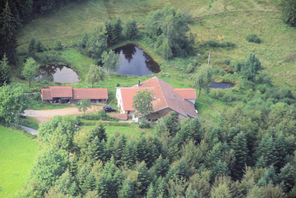 Gites De La Racine Girmont-Val-dʼAjol Buitenkant foto